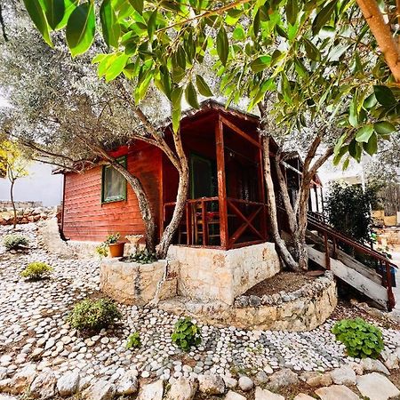 Ata Bungalow Bed & Breakfast Kaş Dış mekan fotoğraf