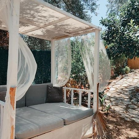 Ata Bungalow Bed & Breakfast Kaş Dış mekan fotoğraf