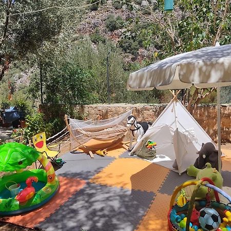 Ata Bungalow Bed & Breakfast Kaş Dış mekan fotoğraf