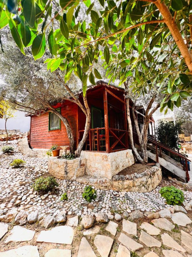 Ata Bungalow Bed & Breakfast Kaş Dış mekan fotoğraf