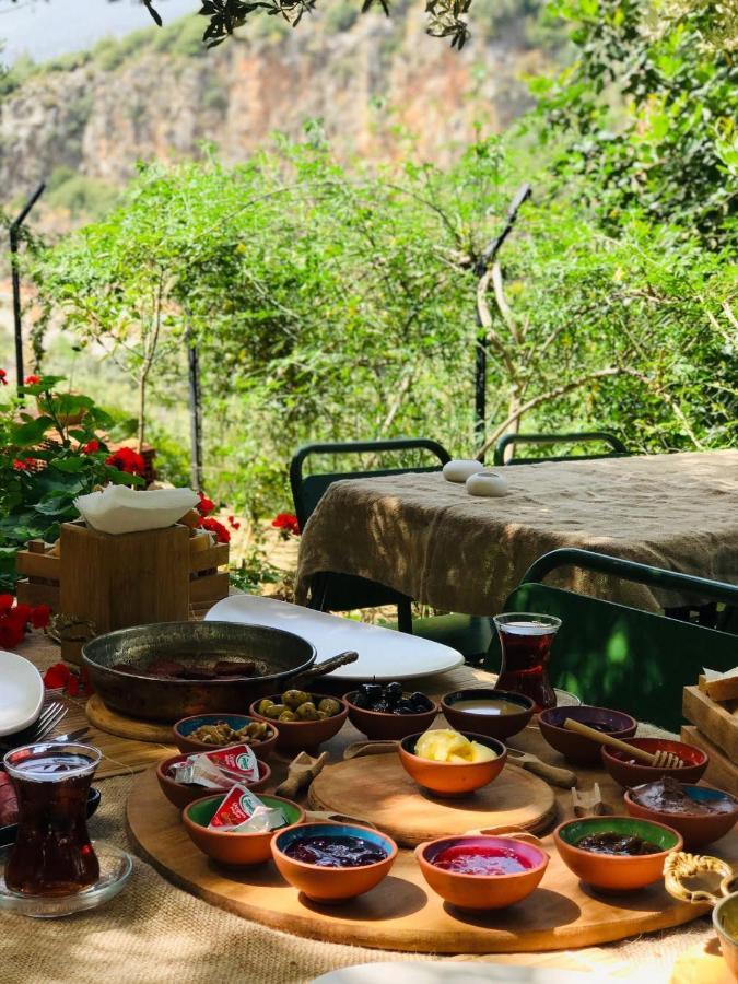 Ata Bungalow Bed & Breakfast Kaş Dış mekan fotoğraf