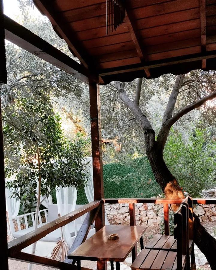 Ata Bungalow Bed & Breakfast Kaş Dış mekan fotoğraf