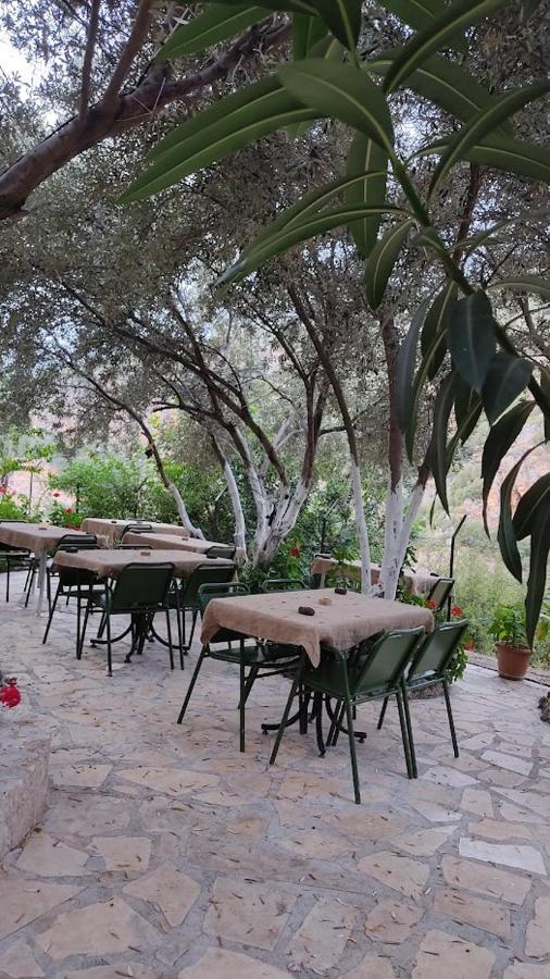 Ata Bungalow Bed & Breakfast Kaş Dış mekan fotoğraf