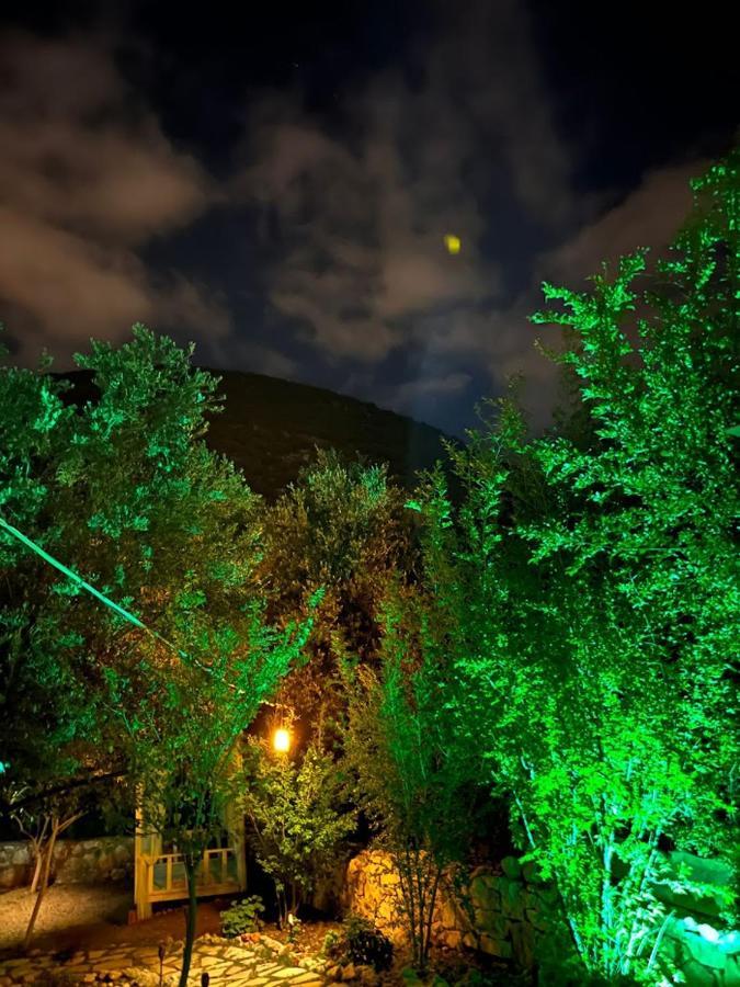 Ata Bungalow Bed & Breakfast Kaş Dış mekan fotoğraf