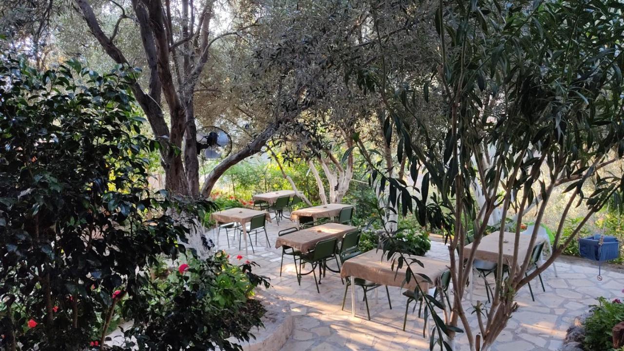 Ata Bungalow Bed & Breakfast Kaş Dış mekan fotoğraf