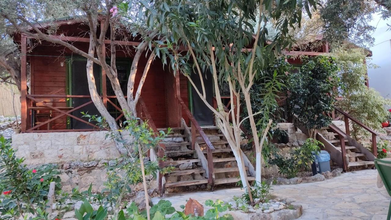 Ata Bungalow Bed & Breakfast Kaş Dış mekan fotoğraf